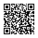 To view this 2012 Fiat 500 West Columbia SC from B&L Auto Sales, please scan this QR code with your smartphone or tablet to view the mobile version of this page.
